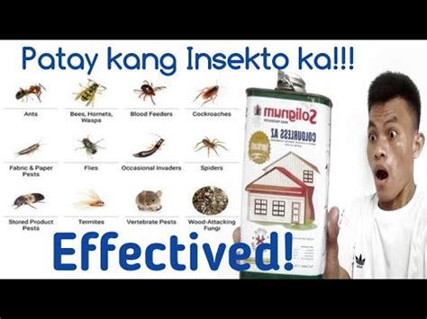 gumamit ng pamatay insecto sa luoa araw araw